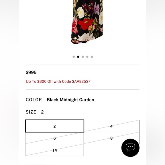 Mestiza NY Evening gown - Picture 8 of 10